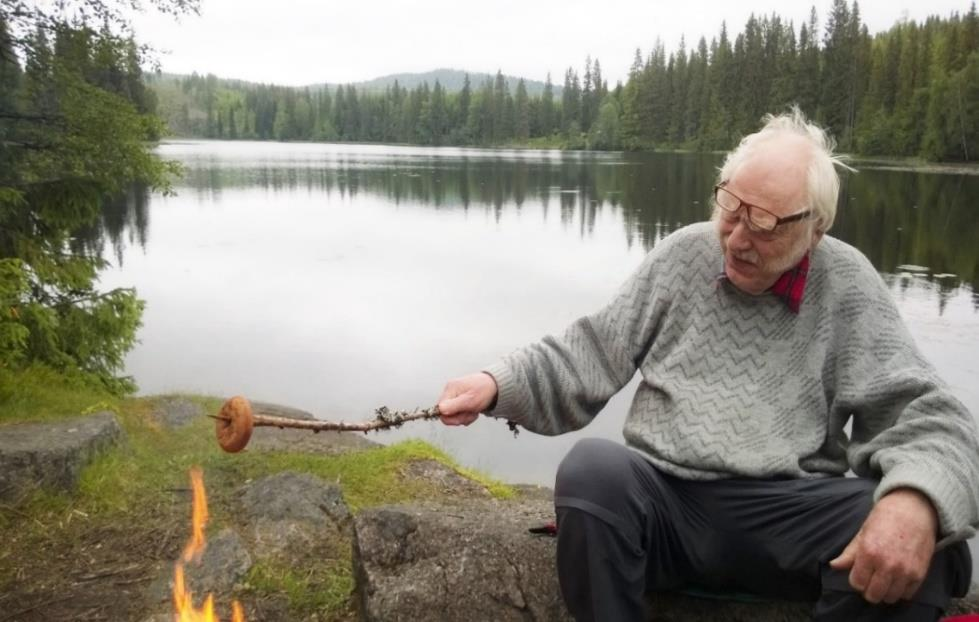 Kveld Det er ved solefall. Jeg sitter ved gapahuken. Jeg kan skue utover tjernet. Roen faller over meg. Ikke en elg å se. Ikke en eneste. Det kan være like bra. Myggen summer. La den summe.