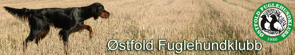 Østfold