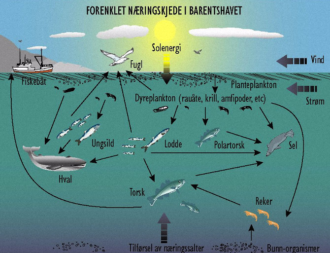 NOU 2005: 10 105 Kapittel 6 Figur 6.1 Illustrasjoner Havforskningsinstituttet og Eksportutvalget for fisk av naturlige avgrensninger som kyst, havstrømmer og sokkel.