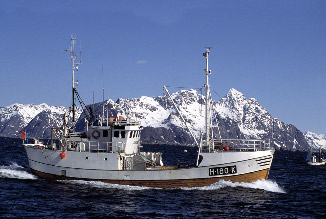 NOU 2005: 10 135 Kapittel 7 Figur 7.5 Foto: Kjell Ove Storvik, Eksportutvalget for fisk. (2002-2003) Strukturtiltak i kystfiskeflåten s.