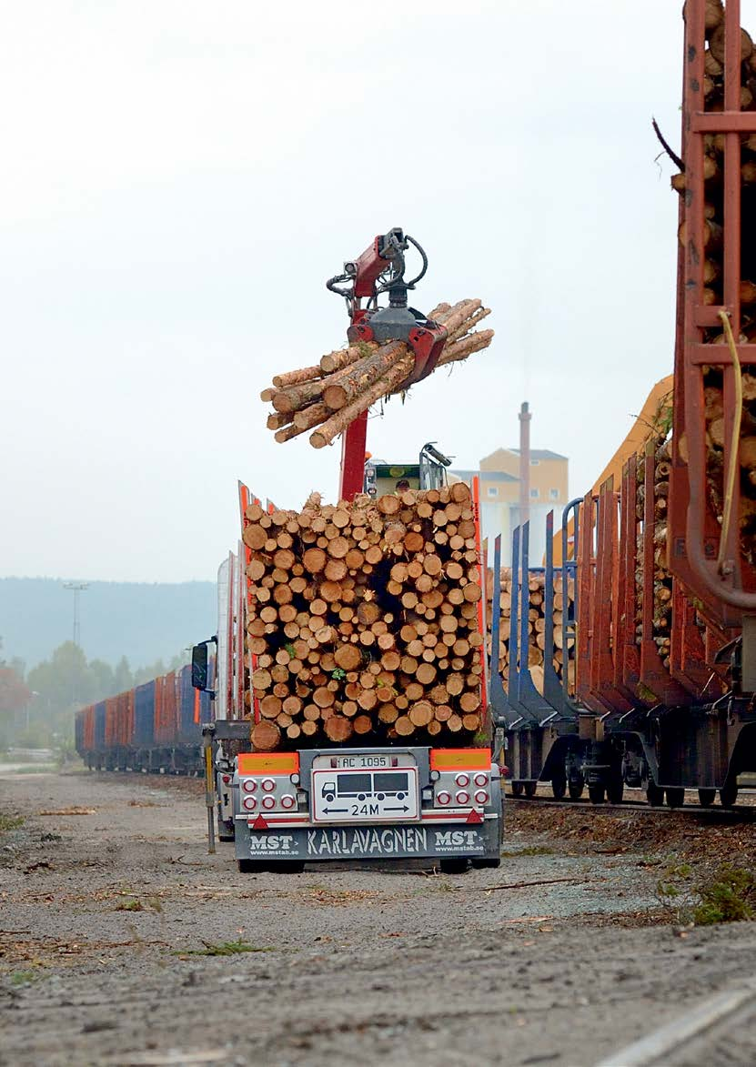 Foto: Øystein Grue/Jernbaneverket 2. Formål og historikk Foto: Øystein Grue CargoNet på Saltfjellet 2.