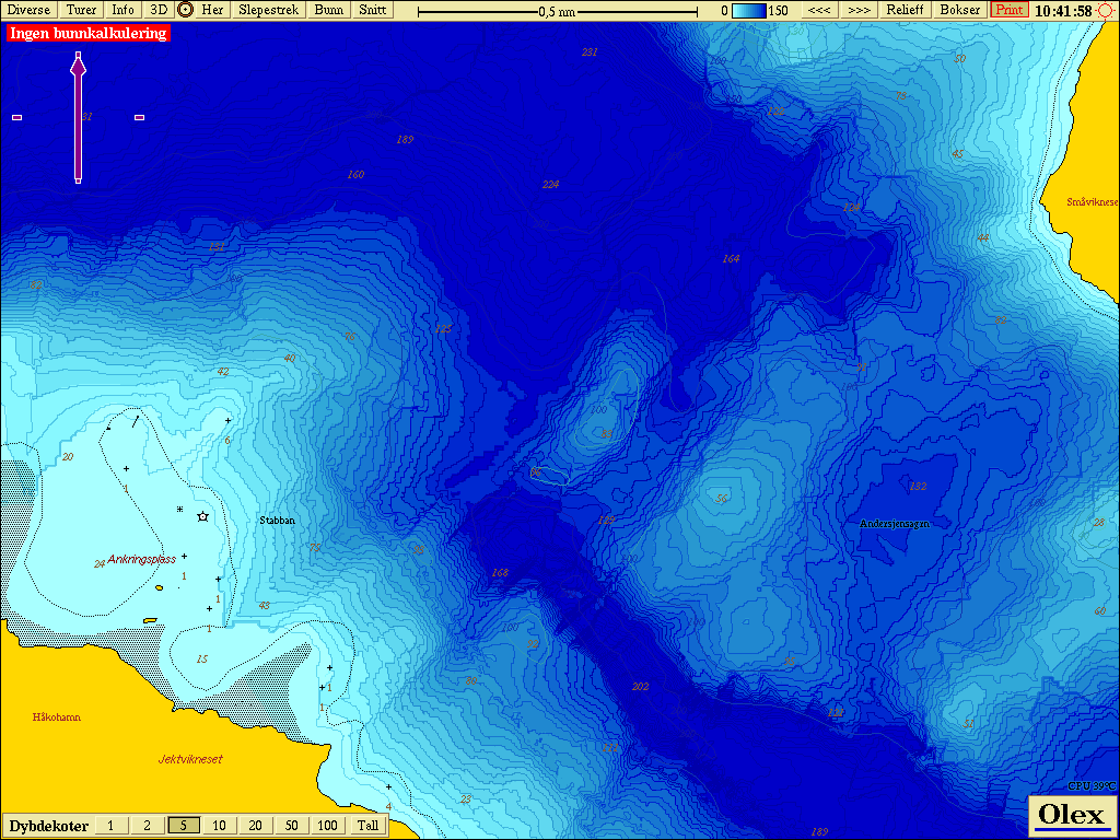 3 Resultater 3.1 Dybdemålinger Olex dybdemålinger viste at største terskeldyp i vest i Vinkfjorden er omtrent 135 m, se Figur 8. Største dyp ble målt til 205 m.