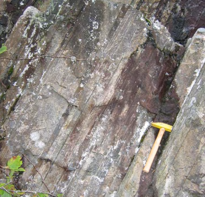 Figur 12: Veiskjæring med sterkt planfoliert amfibolitt (mylonittisk) med enkelte tynne bånd av grå granittisk gneis. Skogsbilvei umiddelbart NØ for Kvennvann.