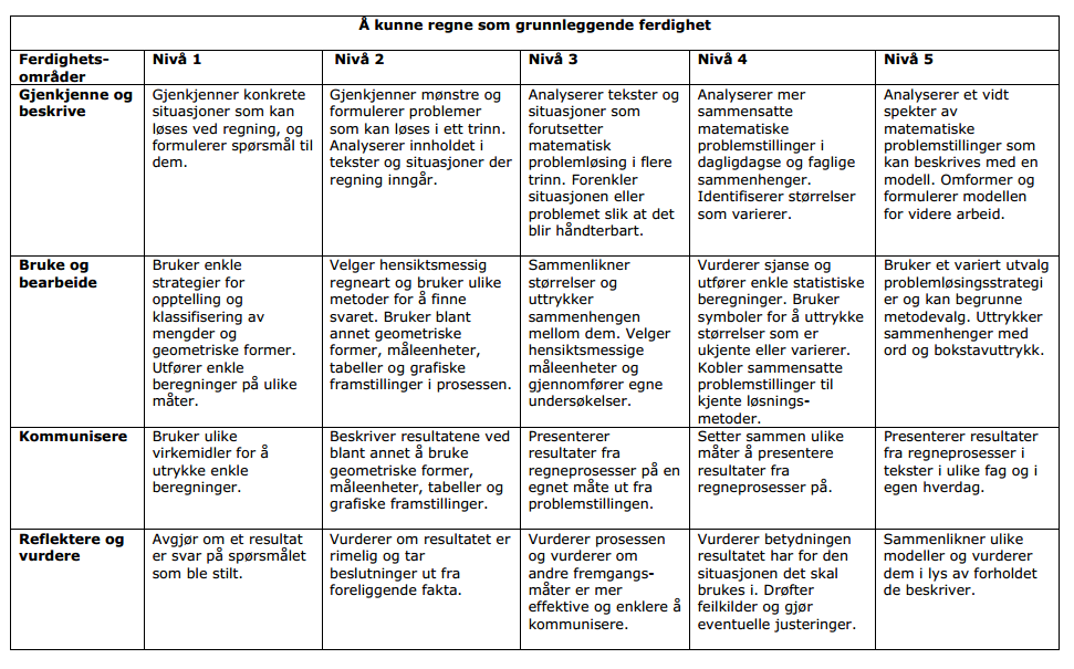 Vedlegg 3: Rammeverk for grunnleggende ferdigheter (http://www.udir.