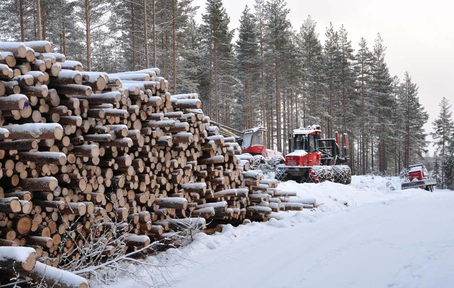 før hogst, og Viken tok selvkritikk for det som hadde skjedd. Gjenliggende tømmer ble ikke kjørt til fabrikk Det andre eksemplet er hentet fra et revir som har status usikker, se figur 4.