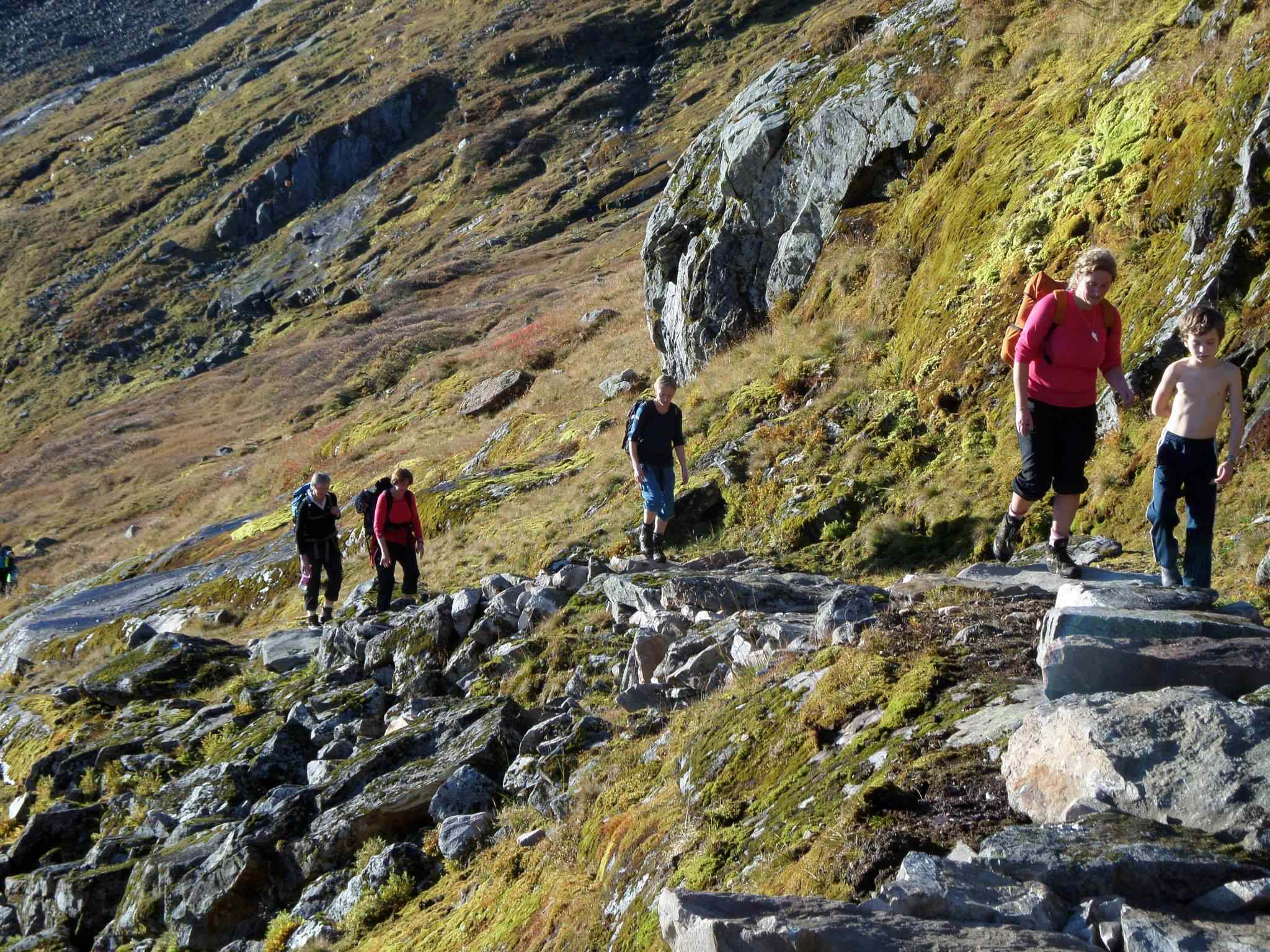 Illustrasjon 9: Sauer beiter i fjella her, og brukar gjerne