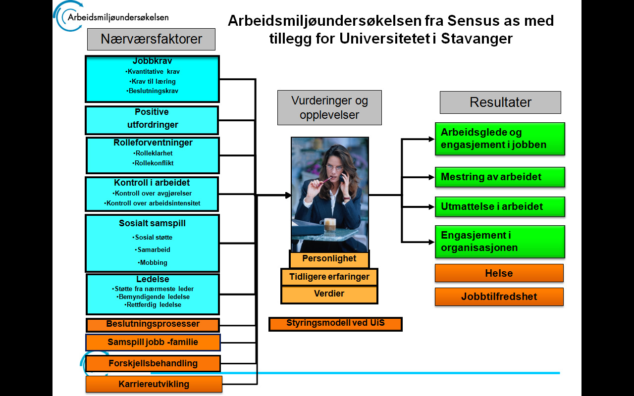 Bildet ovenfor viser det tematiske innholdet i arbeidsmiljøundersøkelse 2008.