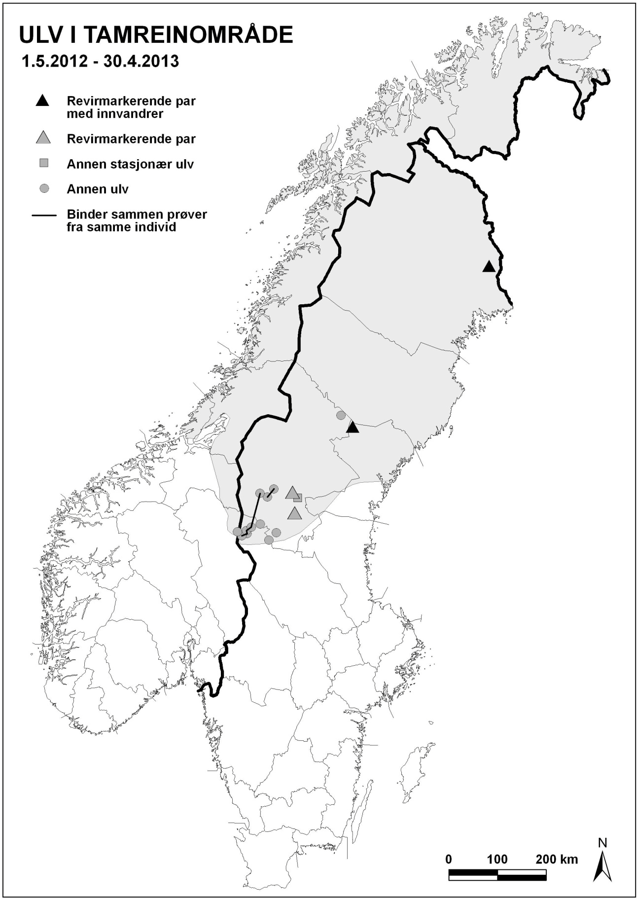 Figur 7. Stasjonære ulver (trekanter) og vandringsulver (sirkler) påvist i beiteområder (grått) for samisk tamrein i Skandinavia 1. mai 2012 30. april 2013.