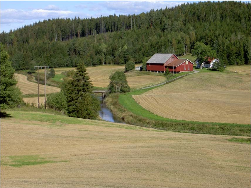 forventes å ha god effekt og renseeffektene er derfor generelt høye. Renseeffekten for overflatevann er dokumentert ved målinger av overflatevann fra ruter med og uten vegetasjonssoner.