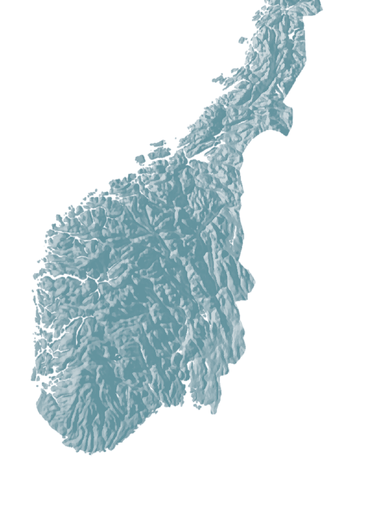 Vi står for en betydelig del av Norges kraftproduksjon Norges nest største kraftprodusent Kjernevirksomheten er eierskap, drift og utvikling av vannkraftanlegg. Selskapet eies av Oslo kommune.