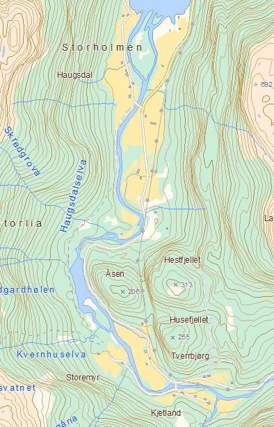 Tabell 3.2. Geografisk plassering, areal og vassdjup på elektrofiskestasjon 1- i Haugsdalselva. Elektrofiskestasjonar er lokaliserte med GPS, etter kartdatum WGS84.