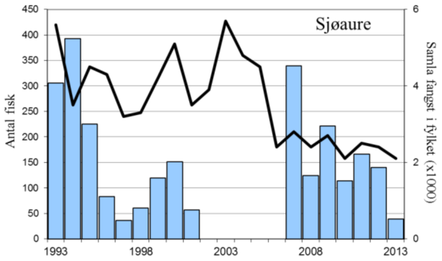 FANGSTSTATISTIKK Fangsten av laks og sjøaure i Haugsdalselva er rapportert for åra 1993-21 og for 27-213. I perioden 22-26 var elva stengd for fiske.