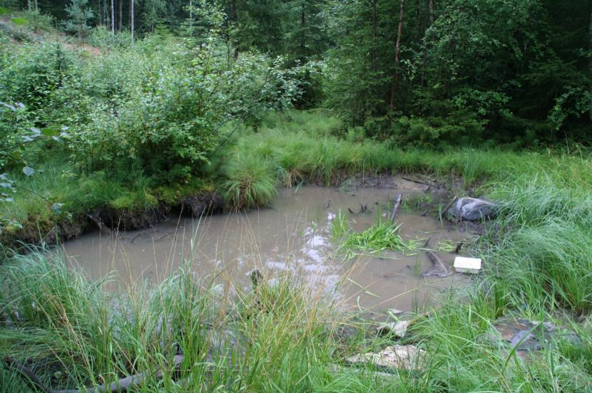 frosk, vanlig frosk og liten salamander. Høsten 2003 ble det anlagt en erstatningsdam (benevnt som Østre erstatningsdam) vel 200 m mot sør-sørøst (PM049265, 150 m o.h.