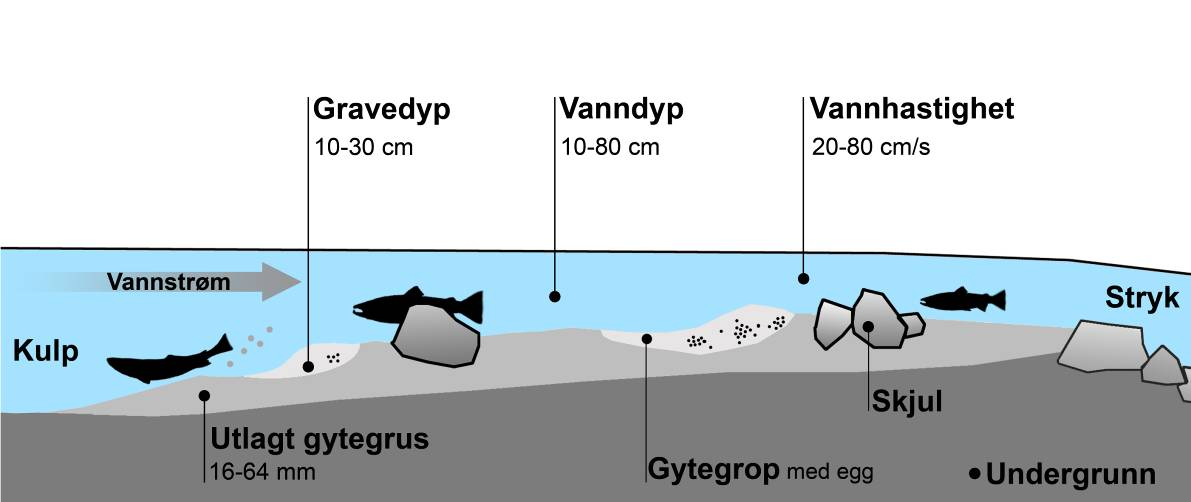 Sammensetningen av grusen er viktig. Vi anbefaler følgende kornfordeling: 20 % 8-16 mm, 60 % 16-32 mm og 20 % 32-64 mm, der % -tallet angir mengden av de ulike kornfraksjonene på vektbasis.