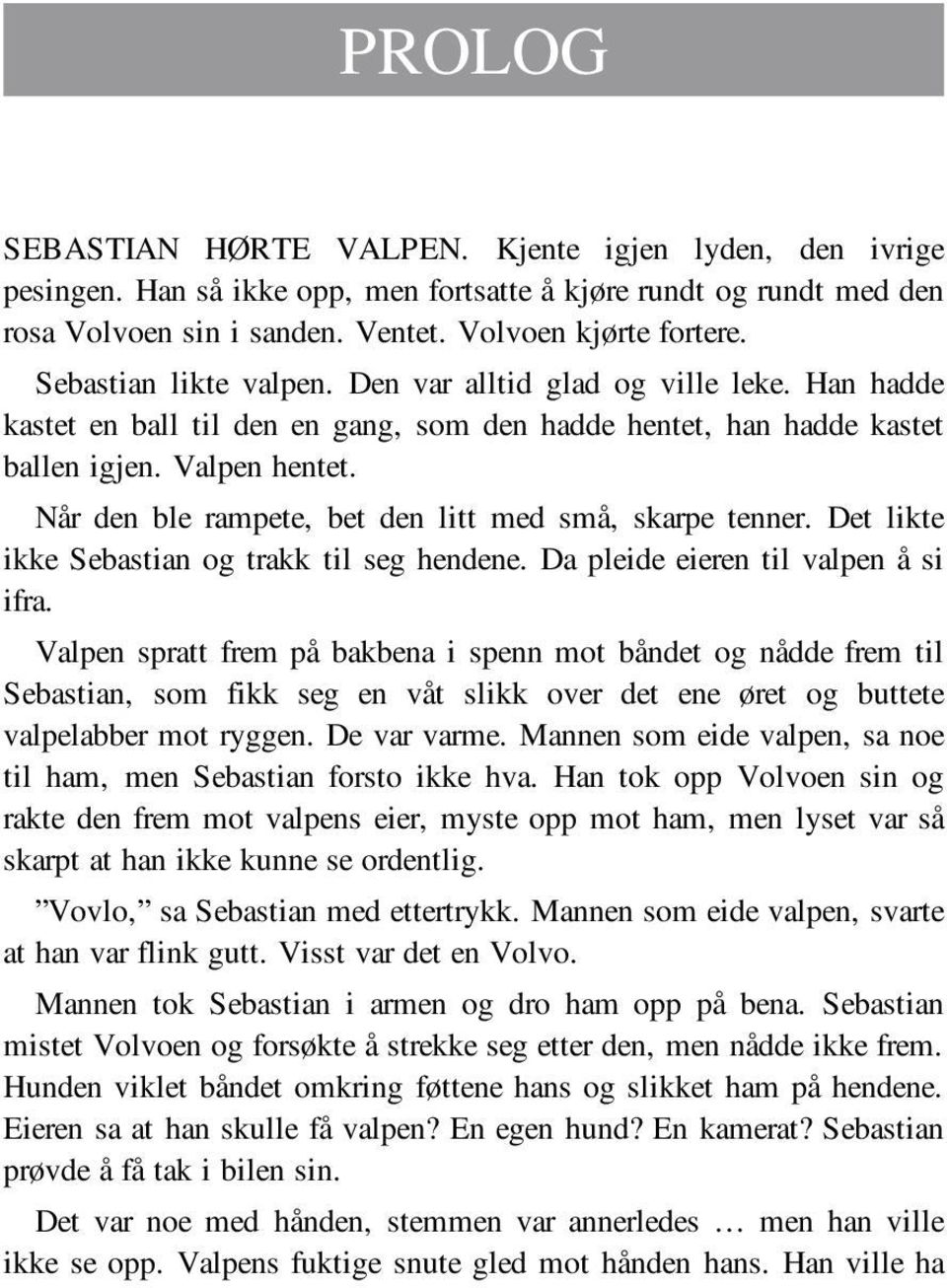 Når den ble rampete, bet den litt med små, skarpe tenner. Det likte ikke Sebastian og trakk til seg hendene. Da pleide eieren til valpen å si ifra.