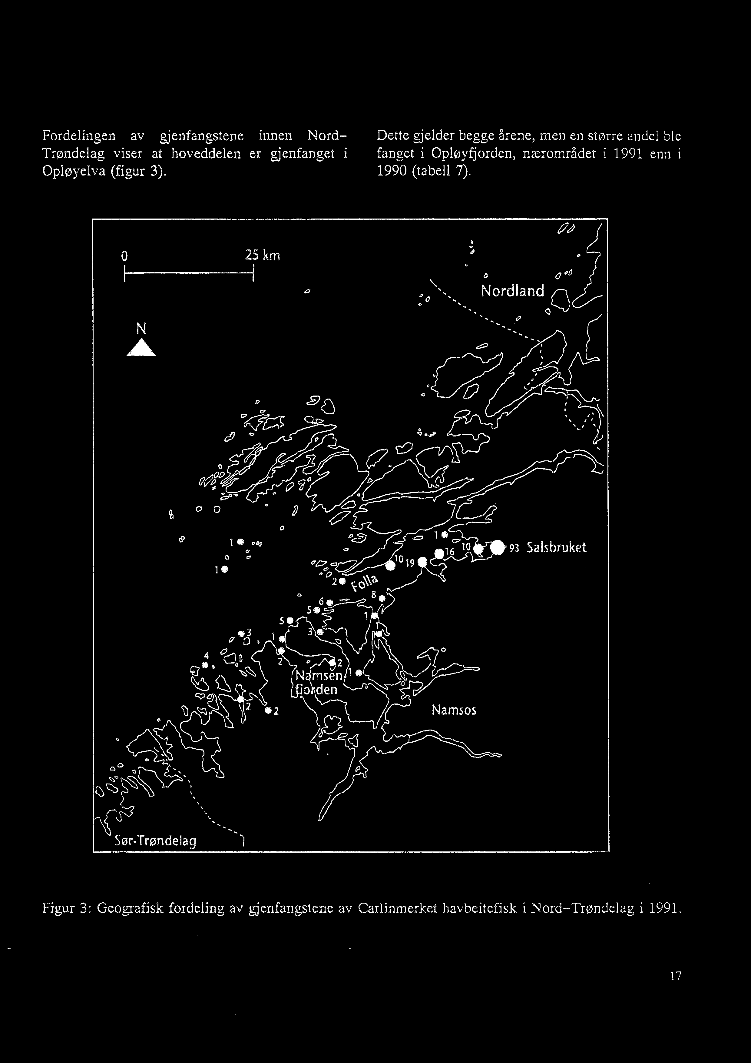Fordelingen av gjenfangstene innen Nord Dette gjelder begge årene, men en større andel ble Trøndelag viser at hoveddelen er gjenfanget i fanget i Opløyfjorden, nærområdet i 1991 enn i Opløyelva