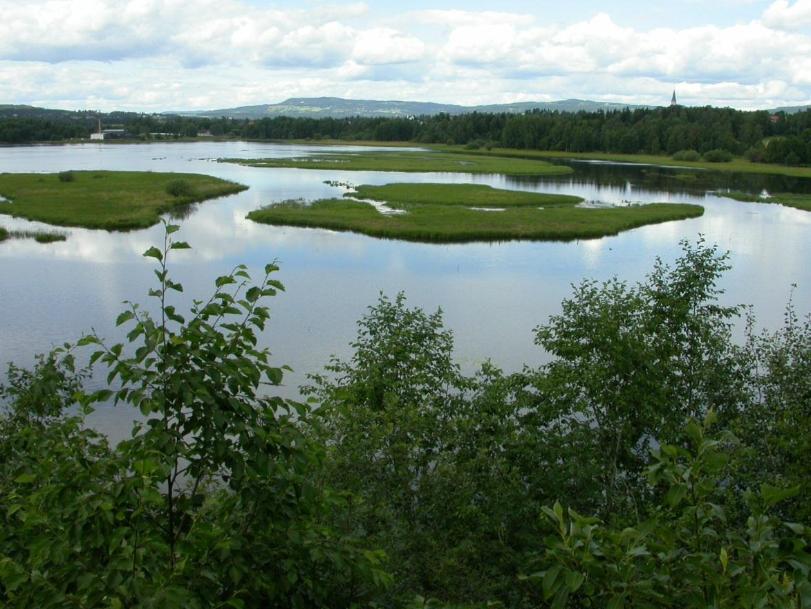 Fylkesmannen i Hedmark Åkersvika