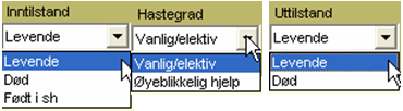 Brukerdokumentasjon NiceF v 9.0.0.0 side 8 9.