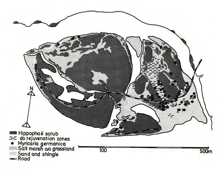 Figur 1 Skogens (1972) vegetasjonskart over Leinøra. svant både det viktigste foryngelsesområdet for tindved og de fleste forekomstene av klåved (som er en utpreget pionerart på stein- og grusører).