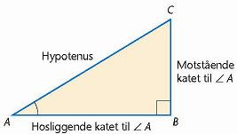 Matematikk R1 og R2 Matematikk for realfag kan velges som programfag over to år innenfor programområde for realfag eller som valgfritt programfag i Vg2 eller Vg3.