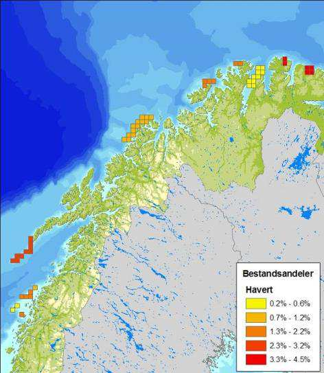 Figur D - 28 Geografisk fordeling av steinkobbe og havert innen utredningsområdet (DN & HI, 2007).