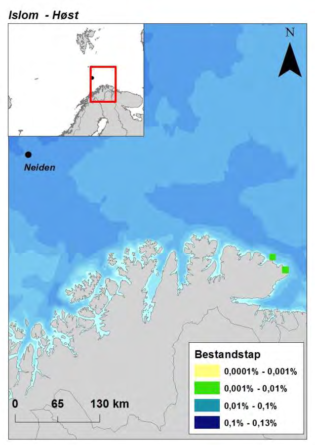 Det er ingen sannsynlighet for > 0,0001 % bestandstap om vinteren Figur 6-6 Effektområder for lunde (vår og sommer) og islom (høst) etter utblåsning fra letebrønn 7220/6-2.