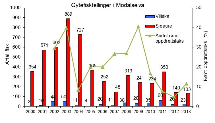 Ved gytefisktelling har det i perioden 2002-2013 blitt observert fra 2-83 laks i Modalselva (Figur 8). Innslaget av rømt oppdrettslaks har i gjennomsnitt vært 21 %, og i enkelte år over 40 %.