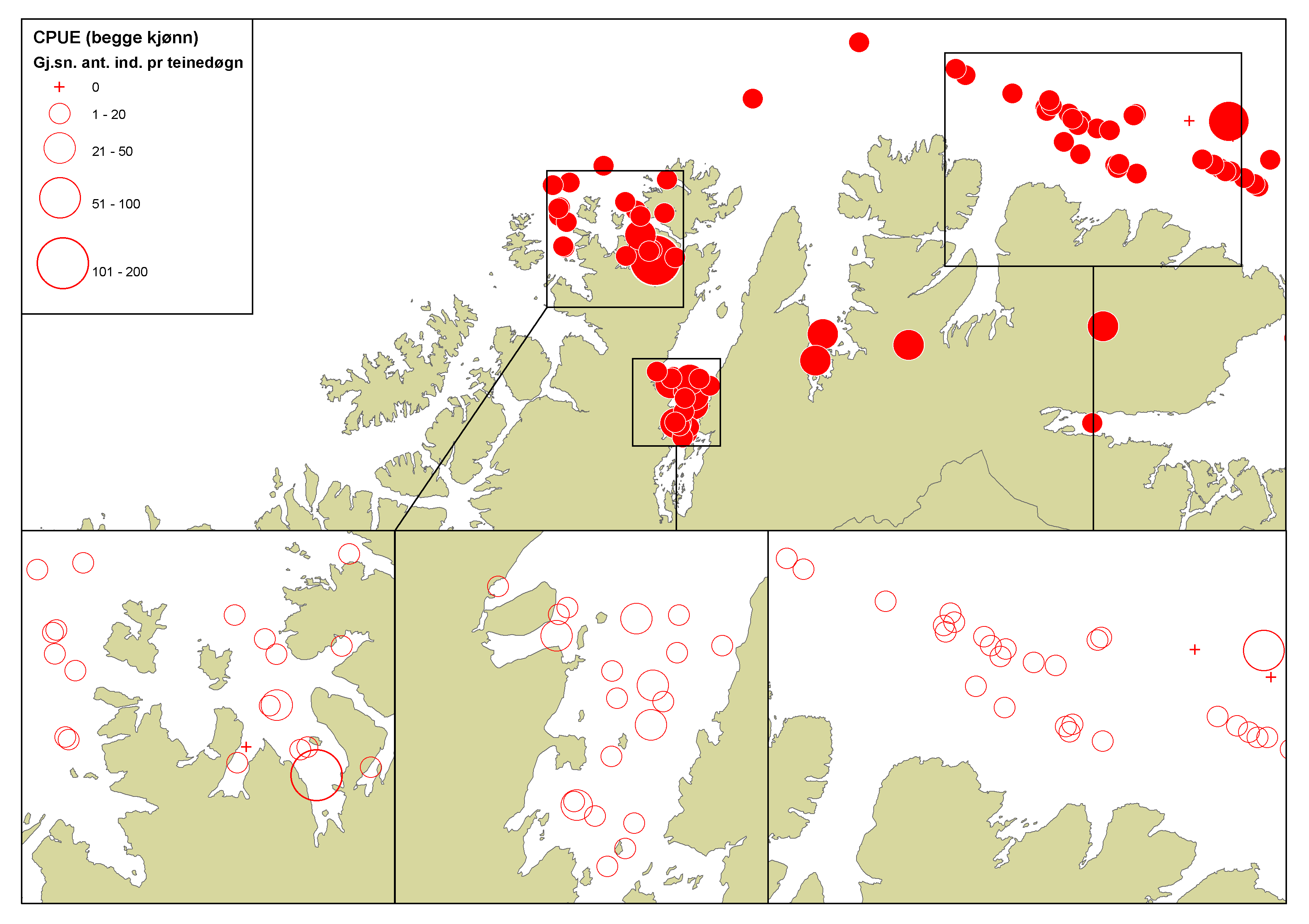 Tabell 4. Fangst per teinedøgn i 3 lokasjoner i statistikk område 4 vest for grensen til det kvoteregulerte kongekrabbefisket, i tidsrommet 22-29.