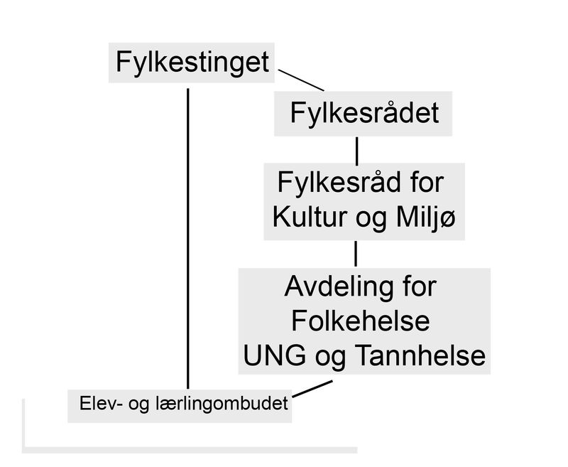 Følgende mandat er nå gjeldene for ombudet: Elev- og lærlingombudsordningen skal dekke alle som befinner seg i et opplæringsløp i regi av Nordland fylkeskommune.