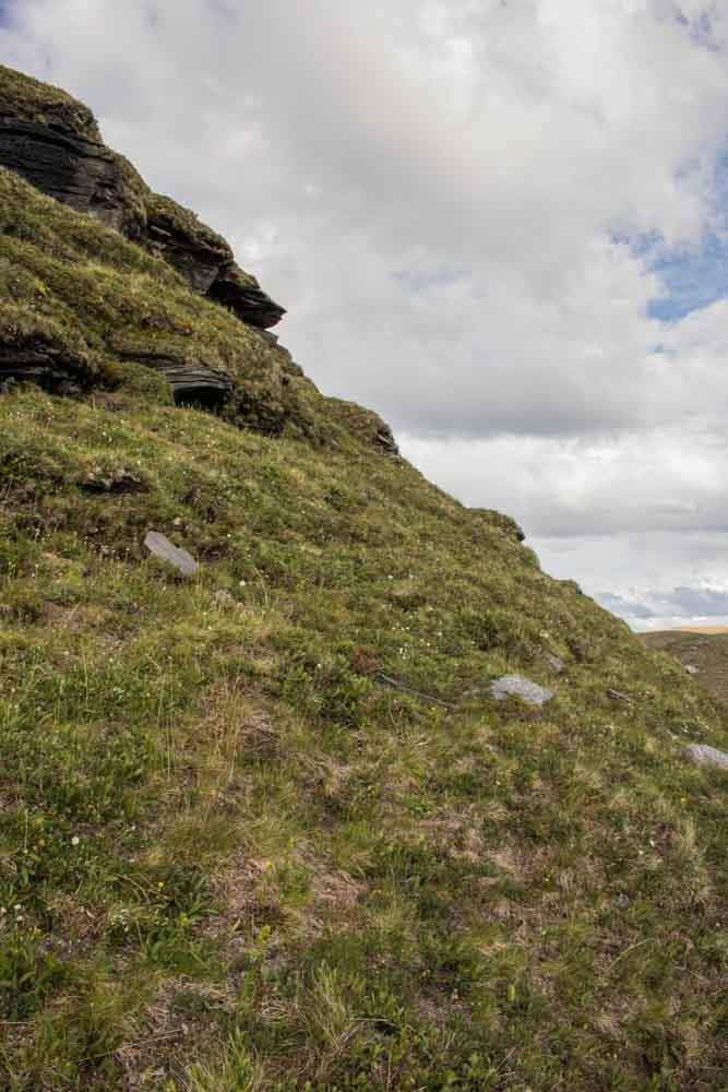 Den 4. juli ble dagens ekskursjon lagt til sørsiden av fjellet Stuorraoaivi (Punkt 3 på oversiktskartet). Her fant Leif Aarvik stripebjørnespinneren, Grammina quenseli for noen år siden.