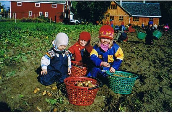 Faglig innhold med hovedvekt på omsorg vil i stor grad dreie seg om stell av dyr, tid til omgang med dyr som kjæling og klapping, hundekjøring, ridning.