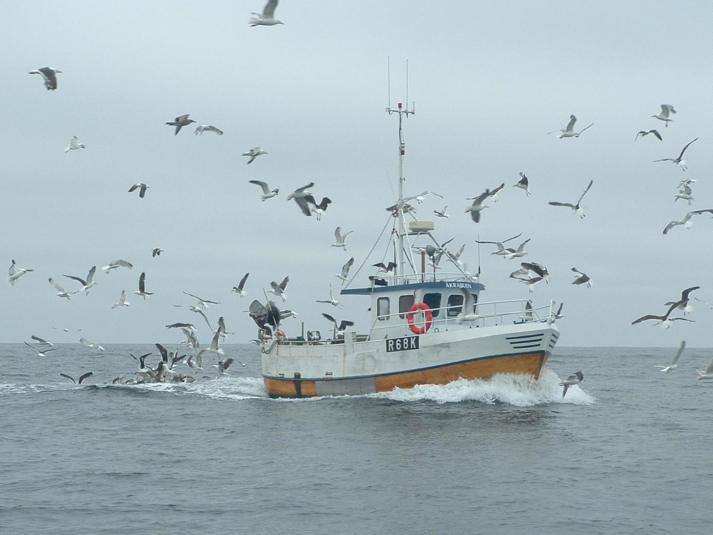 E Struktur og deltakelse Kystfartøy Foto: fiskeri.