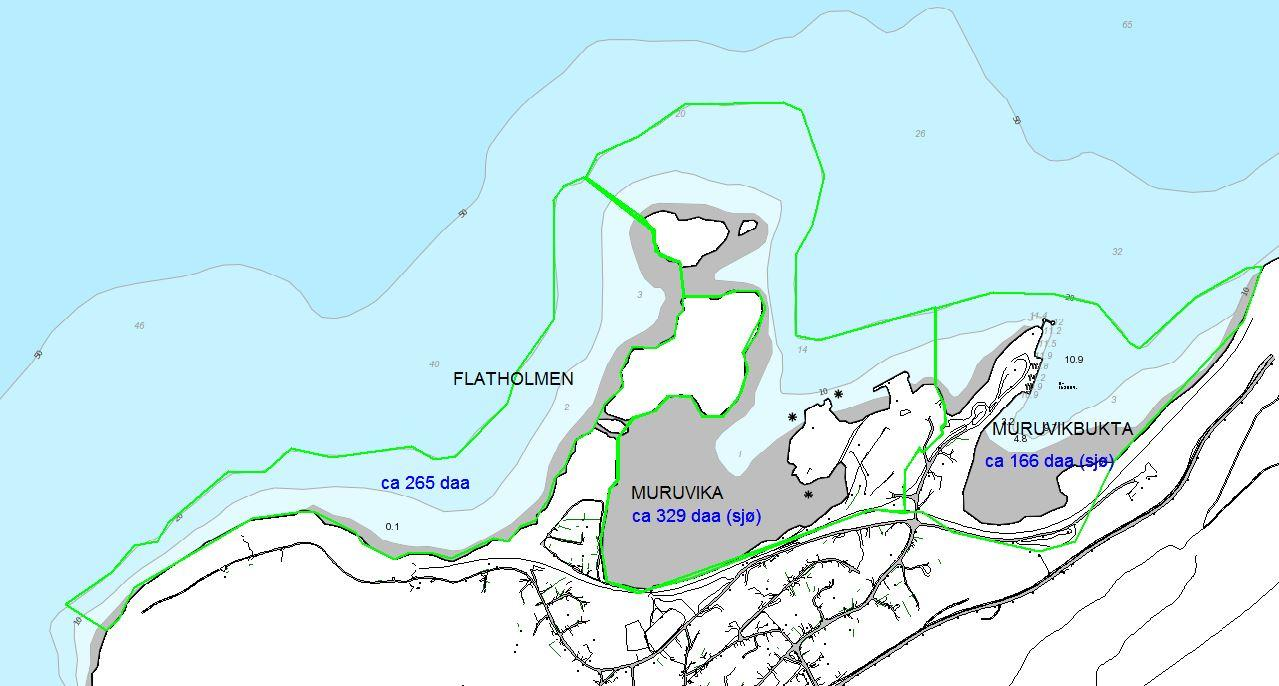 10 SEDIMENTUNDERSØKELSE SVARTNESET FLATHOLMEN, MURUVIKA OG MURUVIKBUKTA Figur 2. Undersøkelsesområdet med de 3 delområdene i prosjektområdet Muruvik.