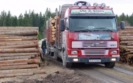 Derfor må det foretas en oppgradering av veiene. Til dette formålet gis det statstilskudd, og det kan benyttes skogfond med skattefordel til formålet.