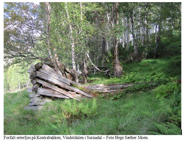 Som et eksempel på bruk av flyfoto og bilder som dokumentasjon i denne saken vises det til et eksempel fra Vindøldalen der eierne av den tidligere husmannsplassen Kontrabakken ønsker og restaurere