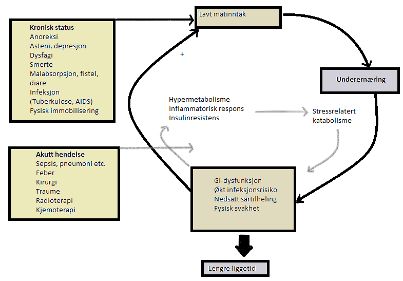 1.3.2 Årsaker til underernæring Uavhengig av andre forhold oppstår underernæring som en konsekvens av en ubalanse mellom næringstilførsel og substratbehov (23).