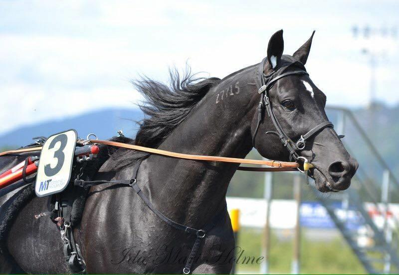 Cromwell Vakker, elegant tekniker med et fantastisk gemytt, høyaktuell og moderne stamme! e: Credit winner ue: Skeptical iss 1,10,2 og 3.829.