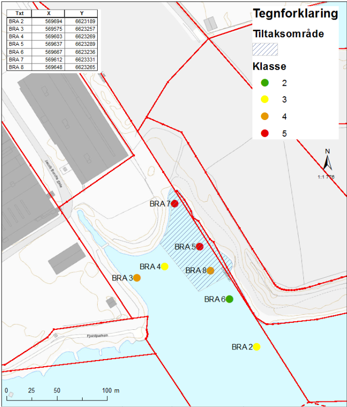 SEDIMENTUNDERSØKELSE BRAKERØYA 11.0 ANBEFALT TILTAKSMETODE OG TILTAKSAREAL Som miljøbeskyttende tiltak i sedimentene på Brakerøya anbefales det tildekking av de forurensede sedimentene.