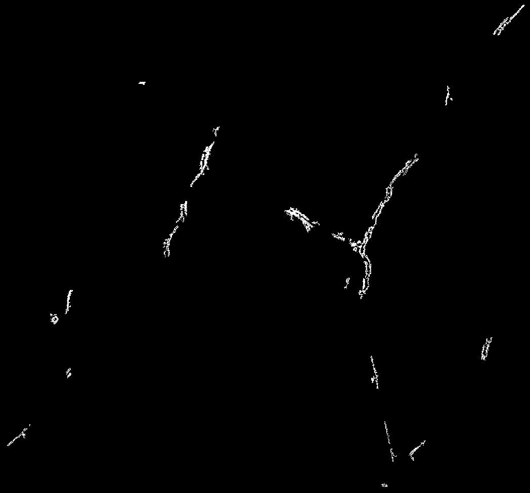 SLUTTRAPPORT FOR PROSJEKT I STRATEGISK LANDBRUKSPLAN TILTAK 5 (2008-2009) Planlegge felles skogsbilvei i Klungsetmarka (gårdene Klungset vestre, Klungset østre og Erikstad Planlagte skogsbilveier er