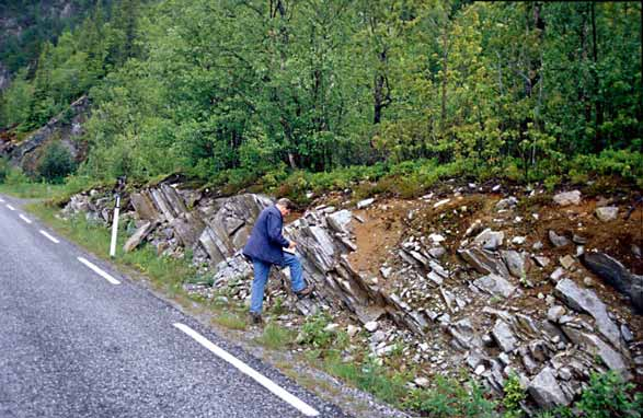 Langs sørenden av Tunhovd fjorden opptrer også en skifrig tyktspaltene kvartsittskifer (Fig. 14). Her vil det også være mulig og finne lokaliteter for uttak av murestein.