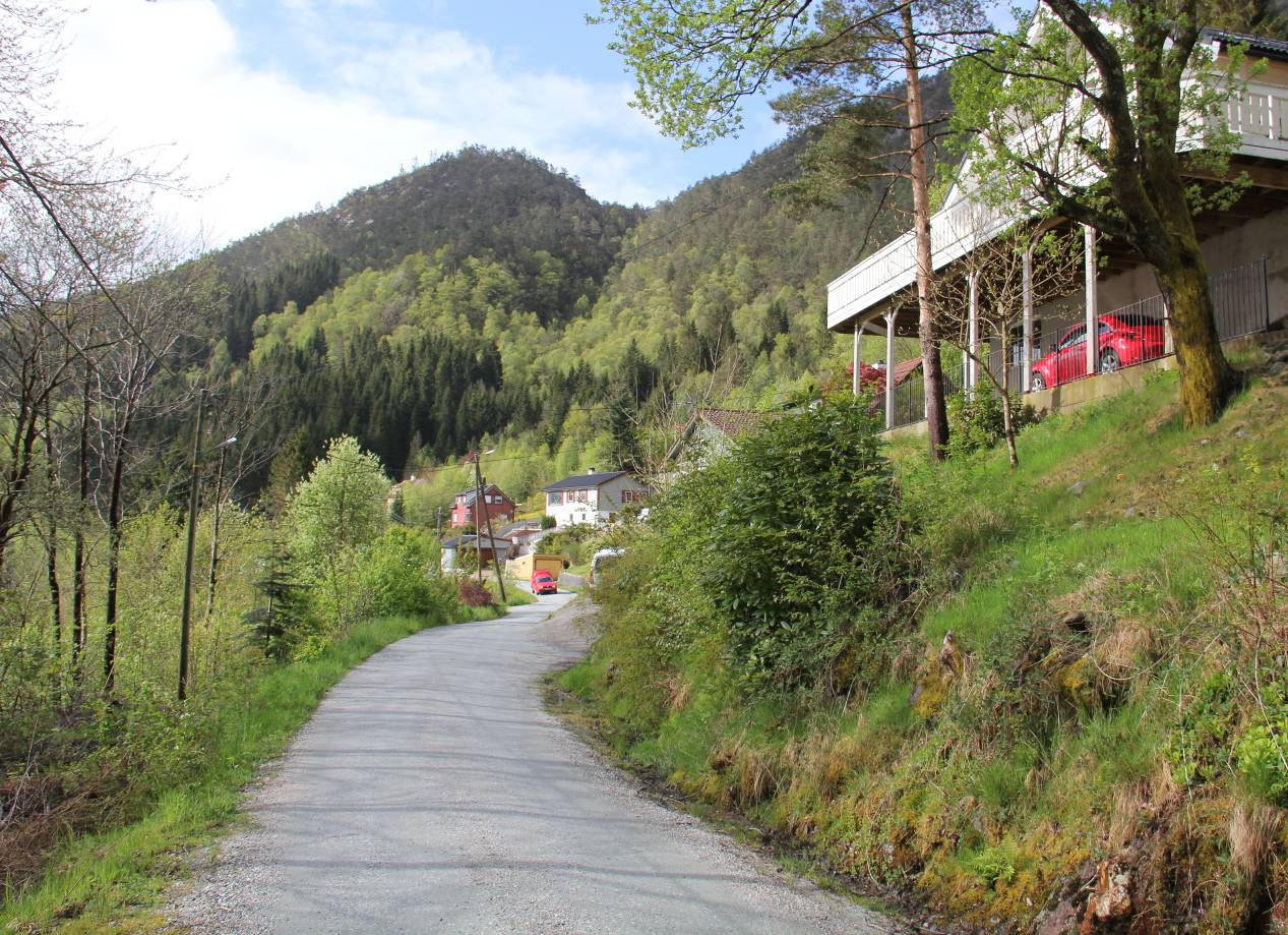 Bergen, 7. mars 2016 Biologisk mangfold langs gang- og sykkelveg Breisteinvegen i Bergen kommune konsekvensvurdering Figur 1. Parti fra Breisteinvegen i Ervika 23. mai 2015.