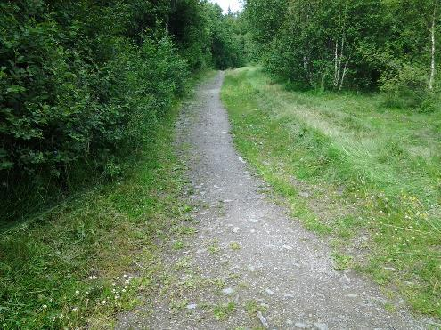 Underlag Underlaget i turveier må være fast og jevnt uten nivåforskjeller > 2 cm.