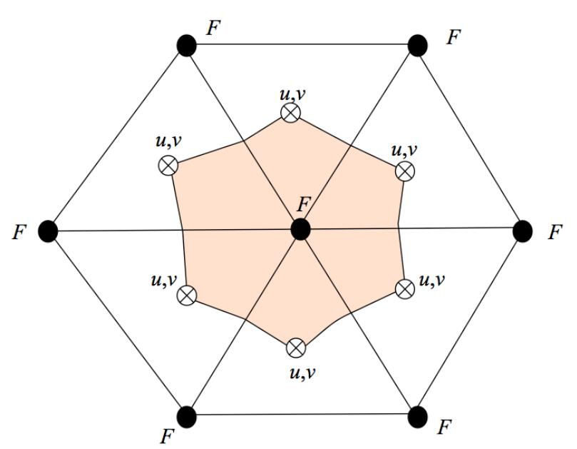 Figur 4. Illustrasjon av hvordan modellgitteret er bygd opp i FVCOM. Tre noder (merket med F) omslutter trekanter.