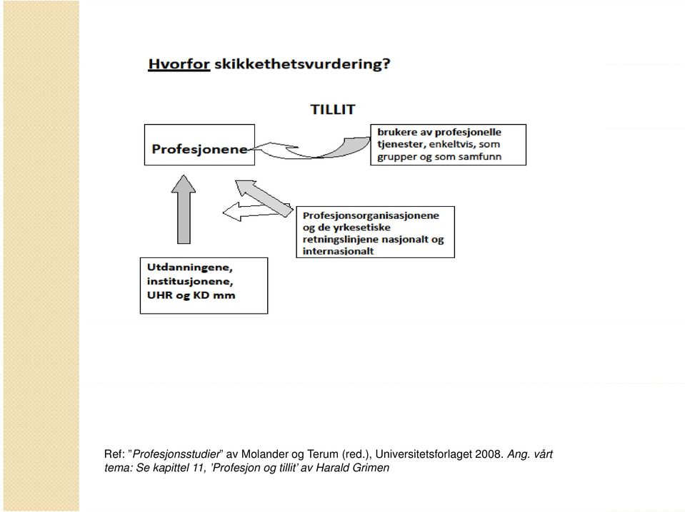 ), Universitetsforlaget 2008. Ang.