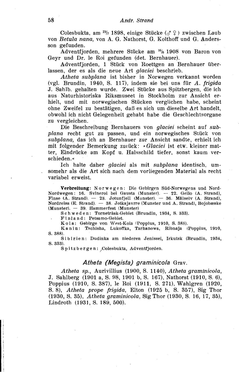 Adventfjorden, 1 Stuck von Roettgen an Bernhauer uberlassen, der es als die neue Art glaciei beschrieb. Atheta subplana ist bisher in Norwegen verkannt worden (vgl. Brundin, 194, S.