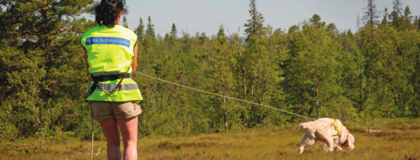 Godkjenningsprogram for Norske Redningshunder Utarbeidet av