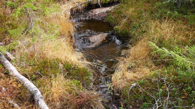 3.1 Bilder fra lokalitetene. 1. Utløp fra Krokvatnet. 2. Utløp fra Søndre Øyvatnet. 3.