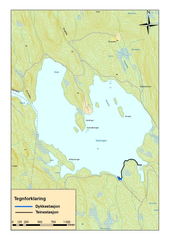 Oppland 5.20 Gjerdingen Fysiske, biologiske og kjemiske forhold Gjerdingen ble regulert i 1913 i forbindelse med tømmerfløting. Reguleringshøyden er på 6.