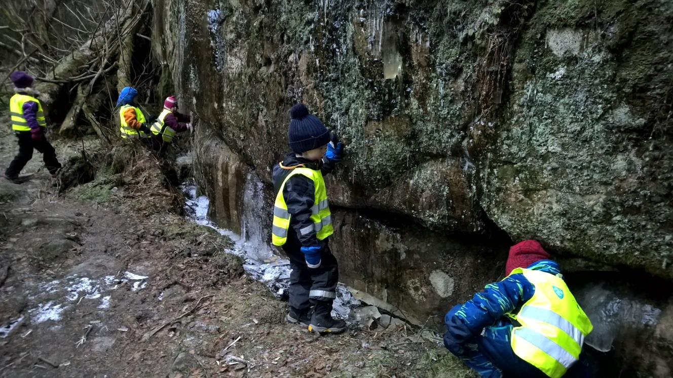 Grønn og Rød hadde en fantastisk flott tur i skogen. To barn var turledere og førte oss langt inn i urskogen. Et sted ingen av oss hadde vært.