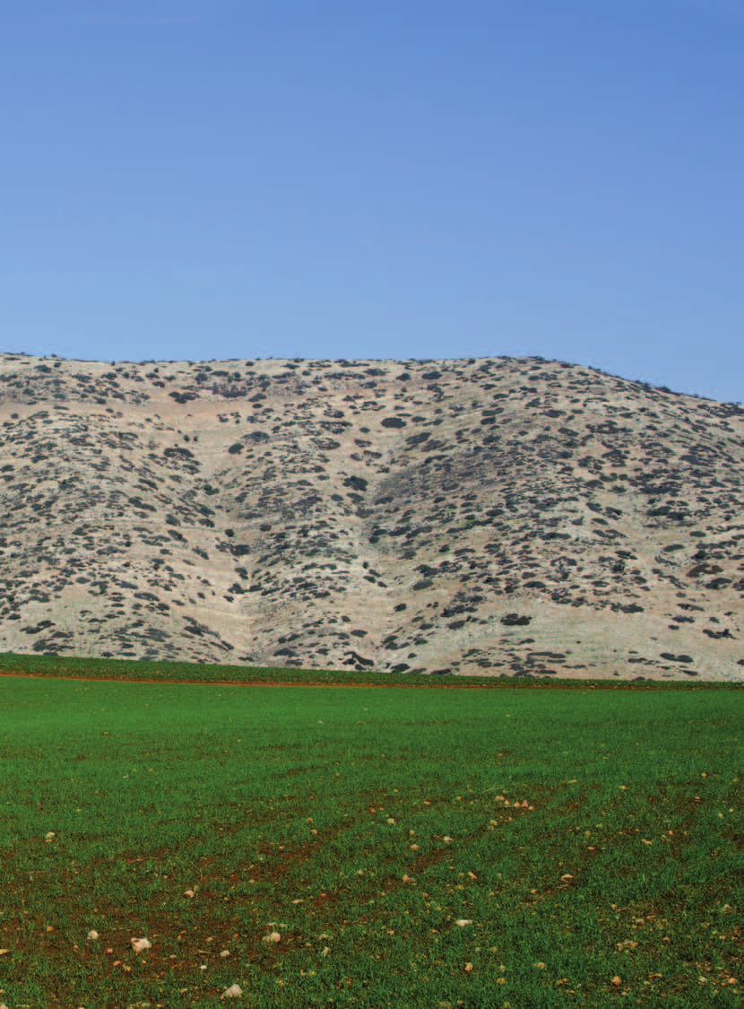 Utsikt fra den lille landsbyen Al Aqaba i fjellene en time nordøst for Nablus, en av de